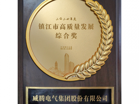 喜讯│征途国际官网-追求健康,你我一起成长
荣获2024年度镇江市高质量发展综合奖
